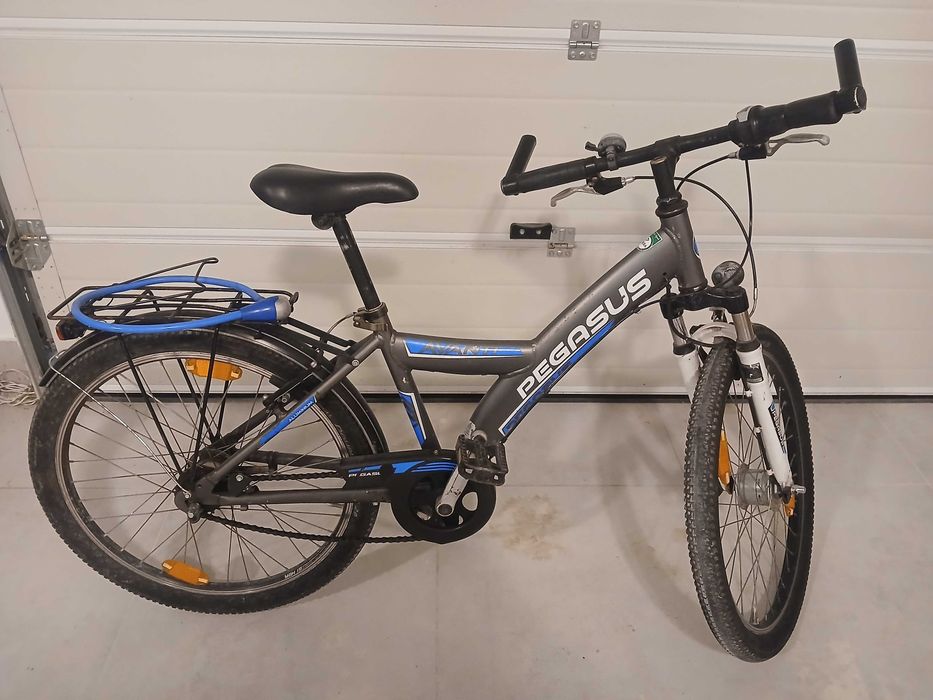 Rower Pegasus Avanti 24 cale