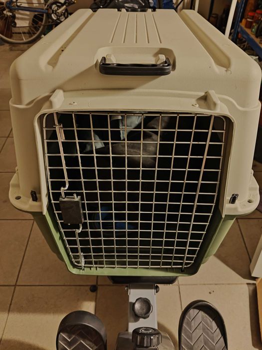 Savic transporter z kółkami Feria Andes rozm M