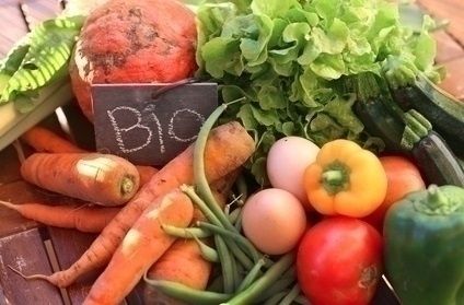 Bio Obornik granulowany certyfikat IUNG