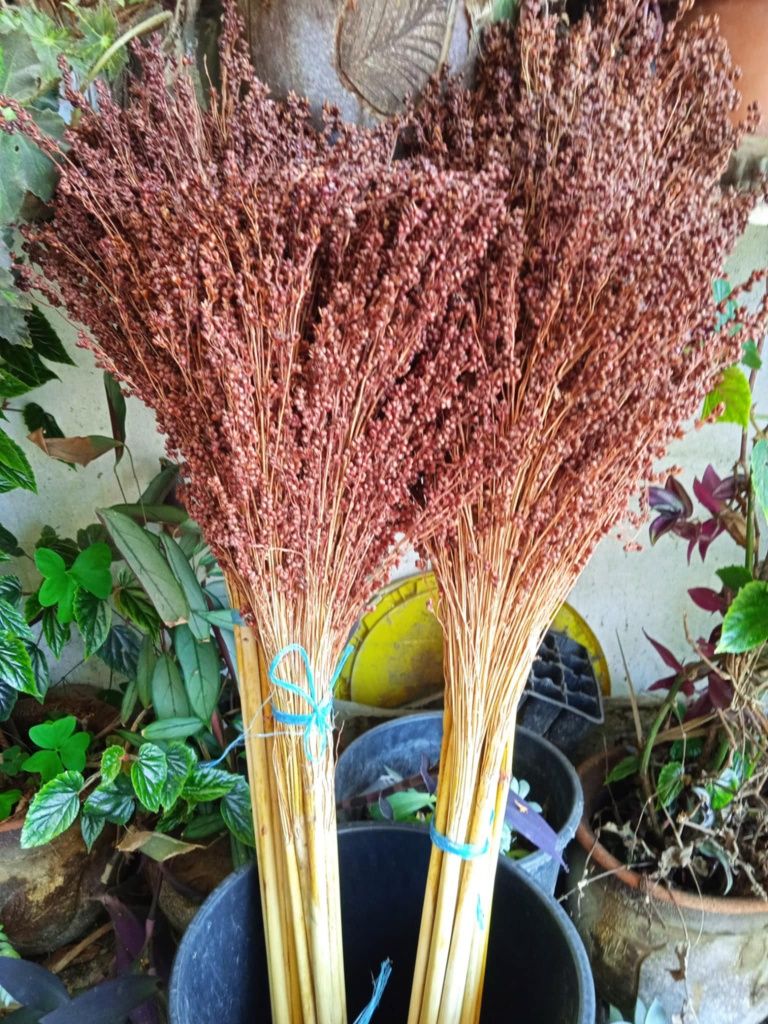 Vendo flores naturais secas, aguentam um ano inteiro.