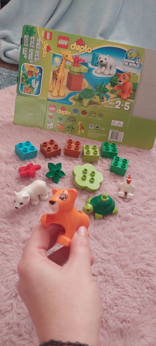 Klocki LEGO 10801 Duplo Zwierzątka tygrys żółw niedźwiedź polarny kura