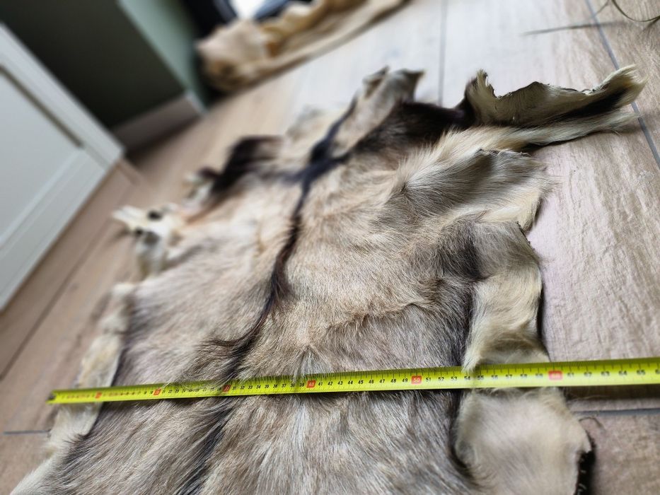 Piękna skóra kozia