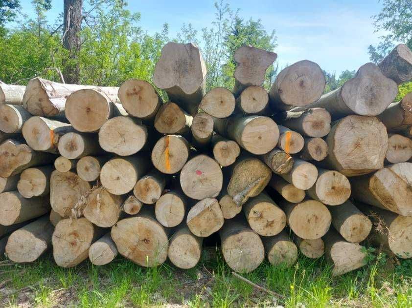PIĘKNY DĄB, BUK - najlepsze drewno opałowe kominkowe, 2,5m !OKAZJA!