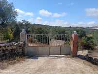 Terreno com casa de madeira em Evora de Alcobaça