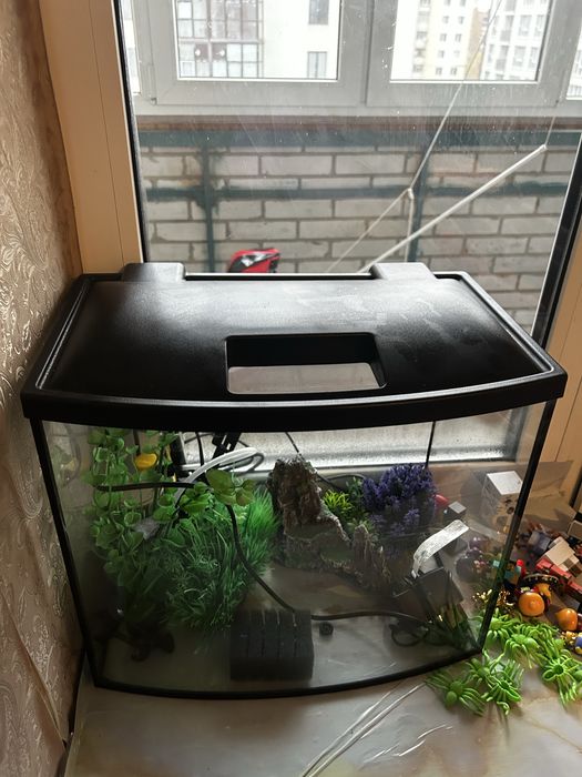 Аквариум з усім необхідним
