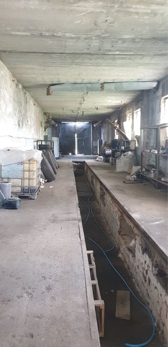 Недвижимость под бизнес