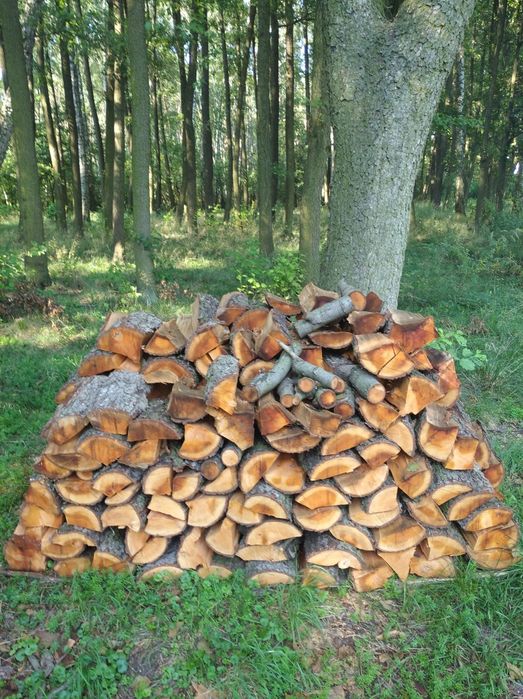 Drewno olcha kominkowe, opałowe 300 zł m³