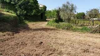 Terreno Agrícola com Casa para Reconstrução