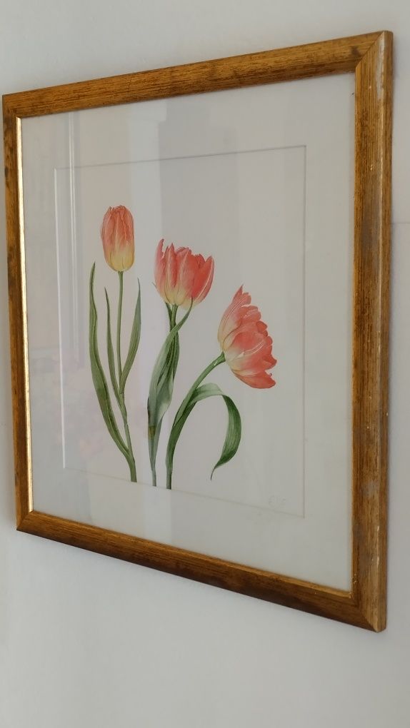 Quadro ' Tulipas