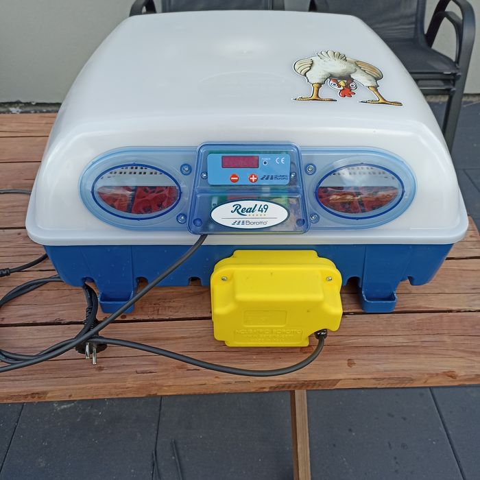 Inkubator borotto automatyczny 49 jaj wylęgarka