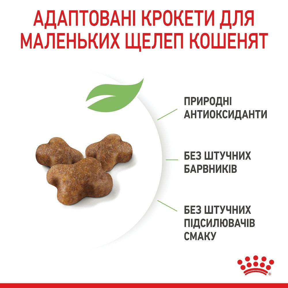 2 кг Сухий корм Royal Canin Kitten, Роял Канін для котят