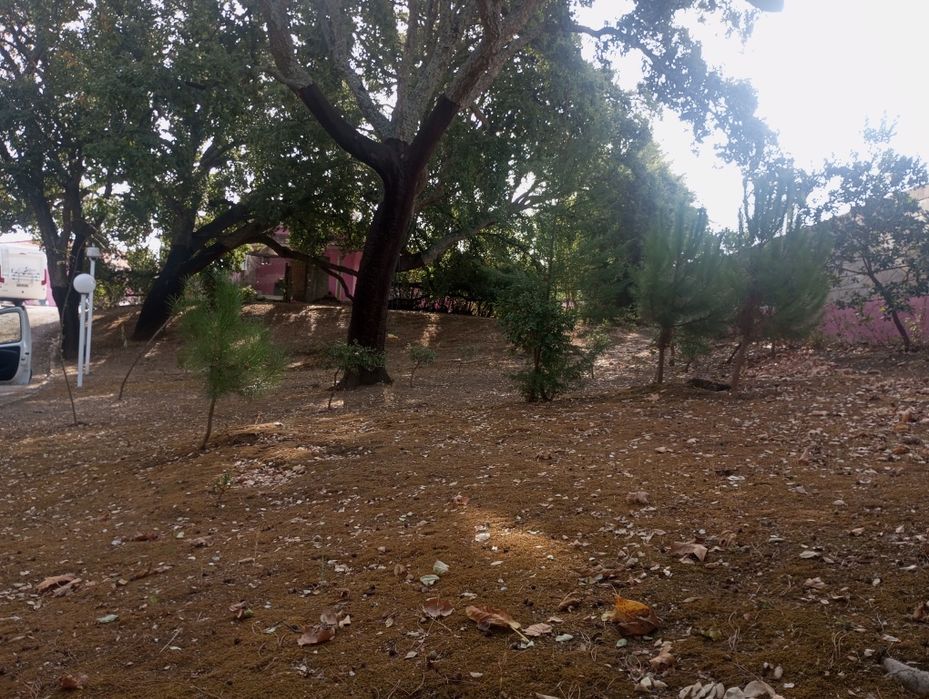 Villa composta de  3 casas:vivenda+ chalet de madeira+casa+ piscina