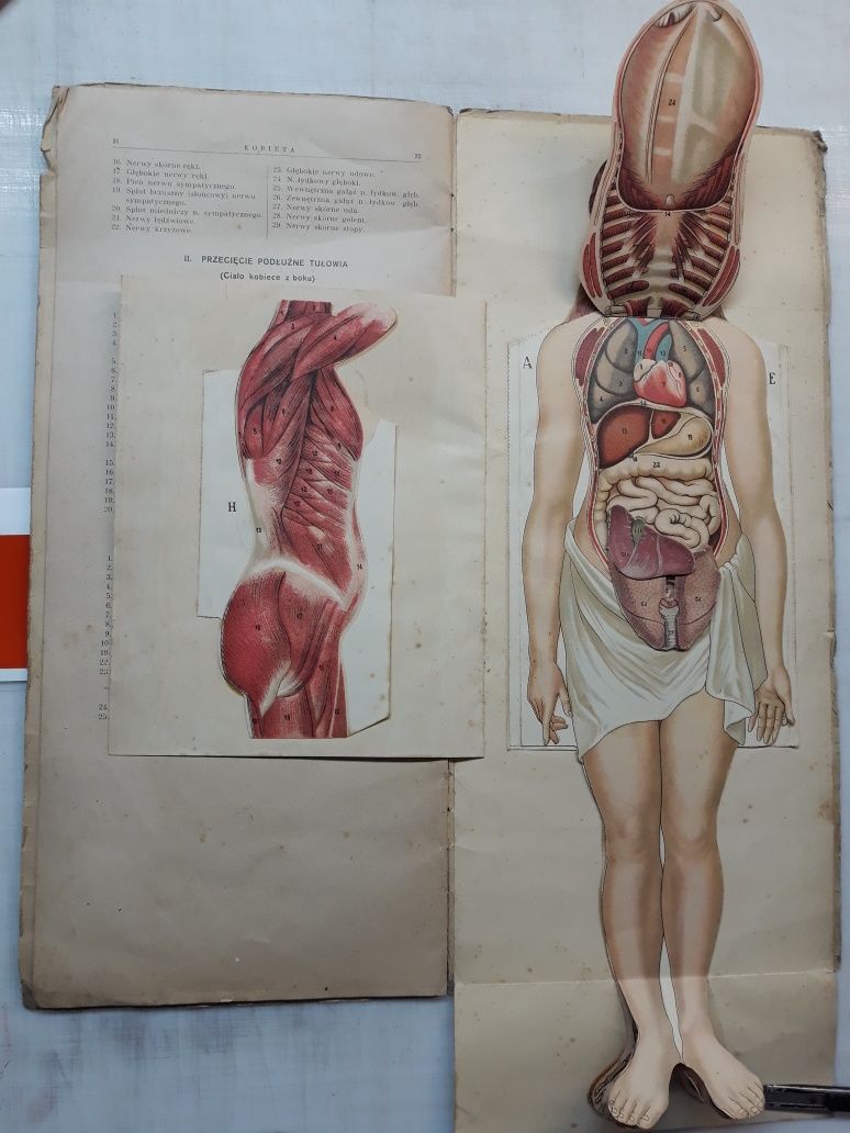 Ksiazka  Budowa Ciala Kobiecego z 1925r