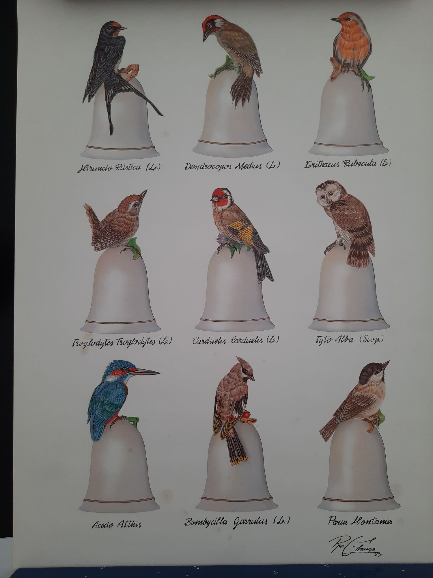 Colecções Philae 6 sinos "Os Pássaros dos Bosques"