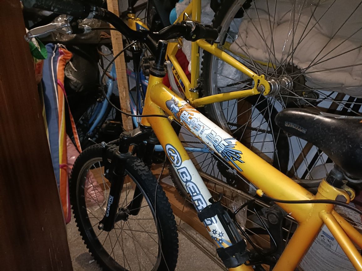 Vendo bicicletas adulto/criança