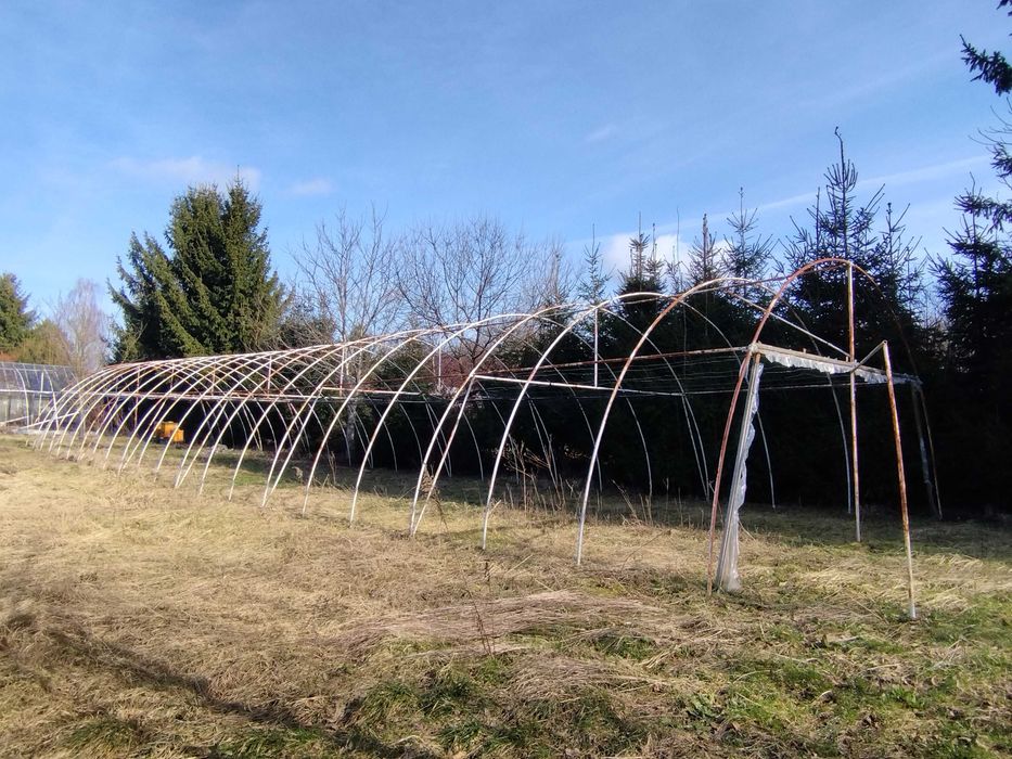 Tunel foliowy 7m x25m