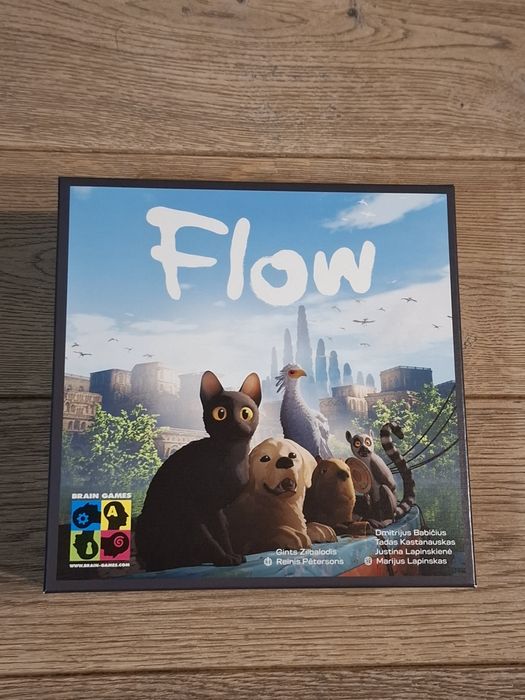 Flow - gra planszowa