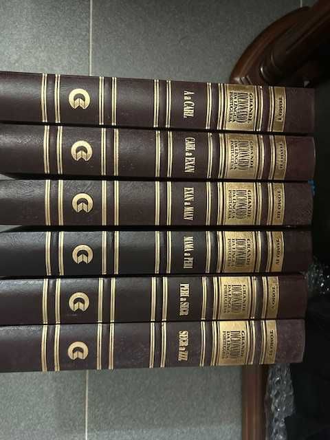 Dicionário de Língua Portuguesa - 6 Volumes