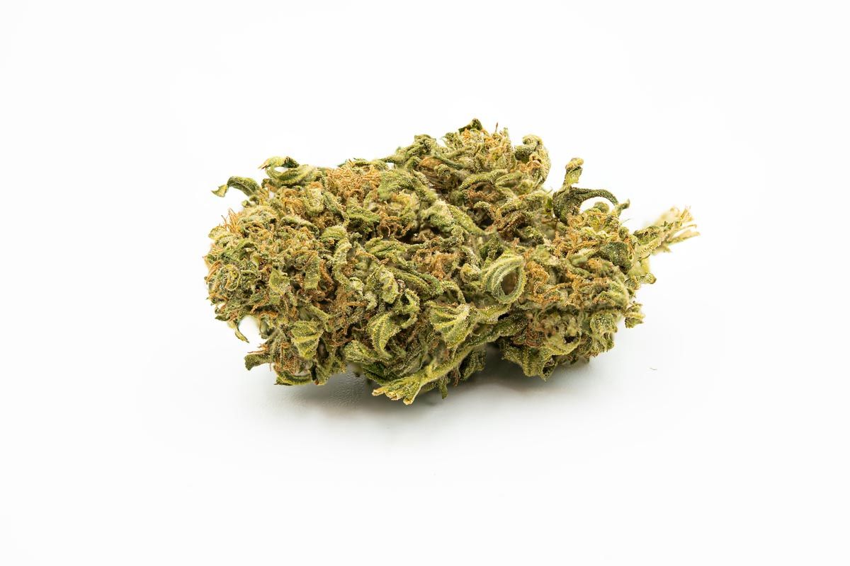 Premafrost susz konopny CBD (100g-5000g) 1000g