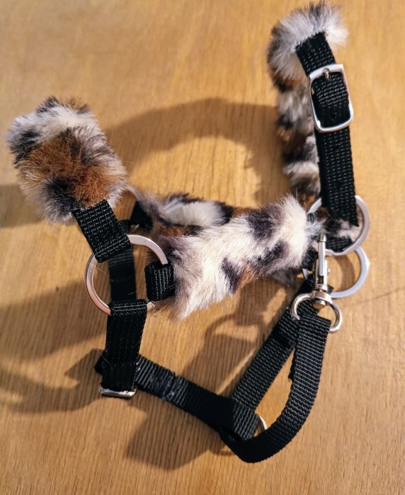 Hobby horse kantar