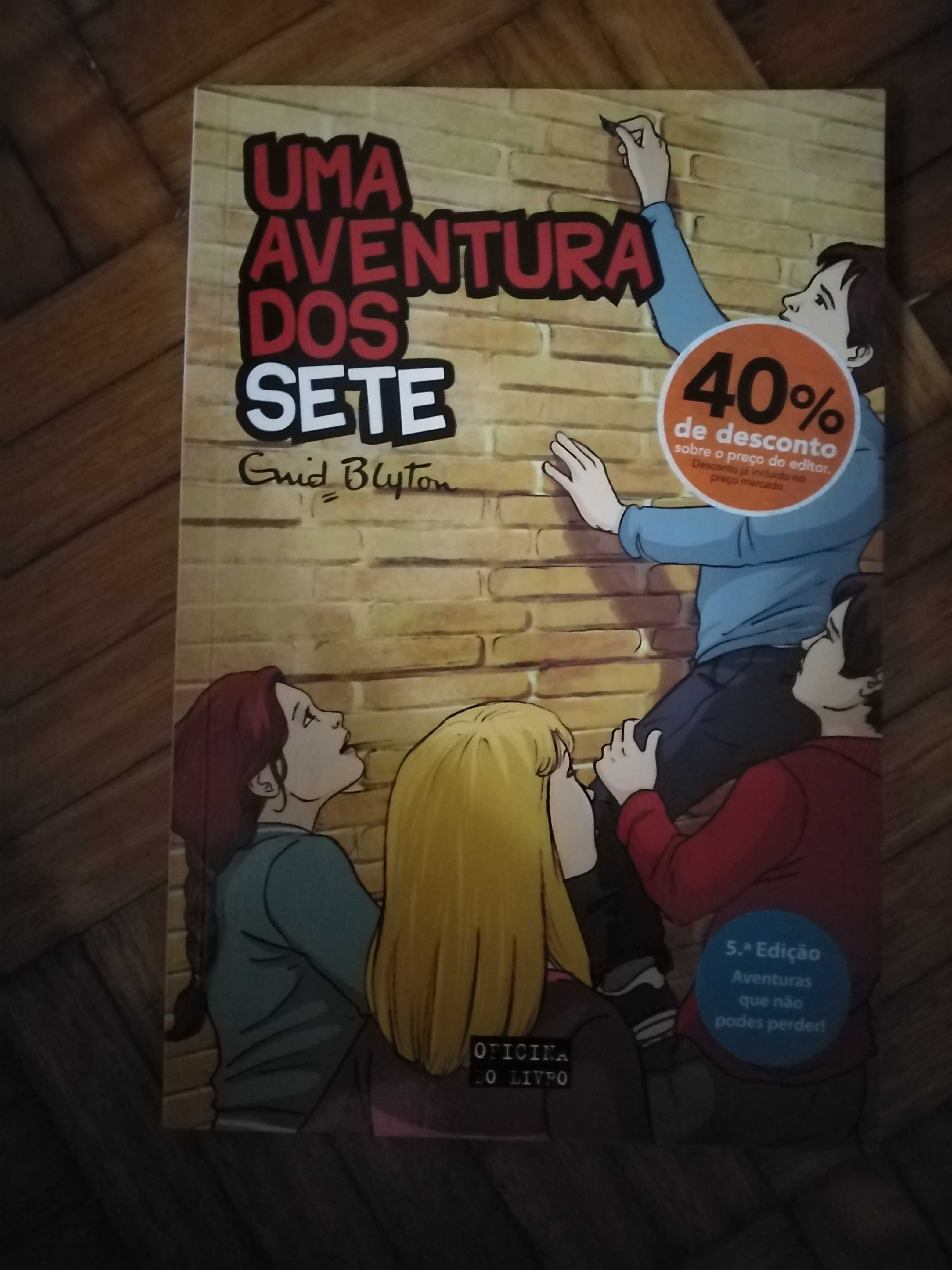 Livro "Uma aventura dos sete"