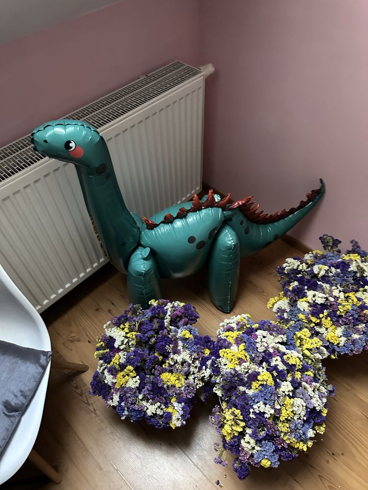 Oddam za darmo – suszone kwiaty i balon RAZERWACJA