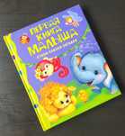 Первая книга малыша/книги на русском 

Состояние очень хорошее
