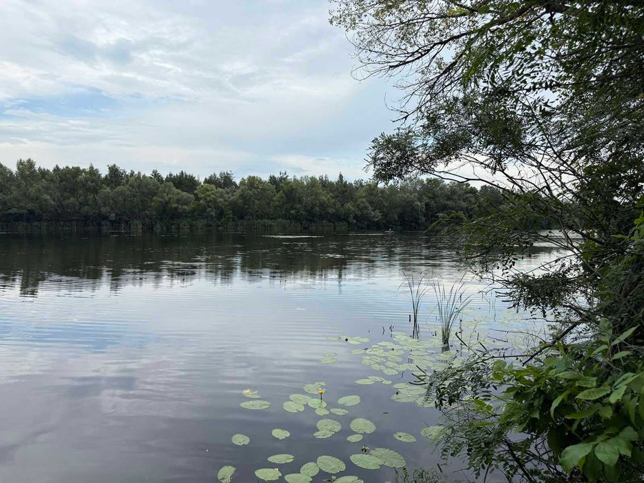 Продам дві ділянки у лісі з виходом до р.Орель, Царичанський район.