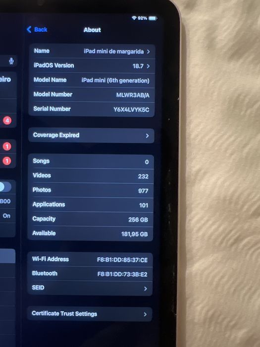 ipad mini 6 gold 256gb