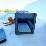 Tenda Portátil Dobrável para Cão | Caixa de Transporte Suave
