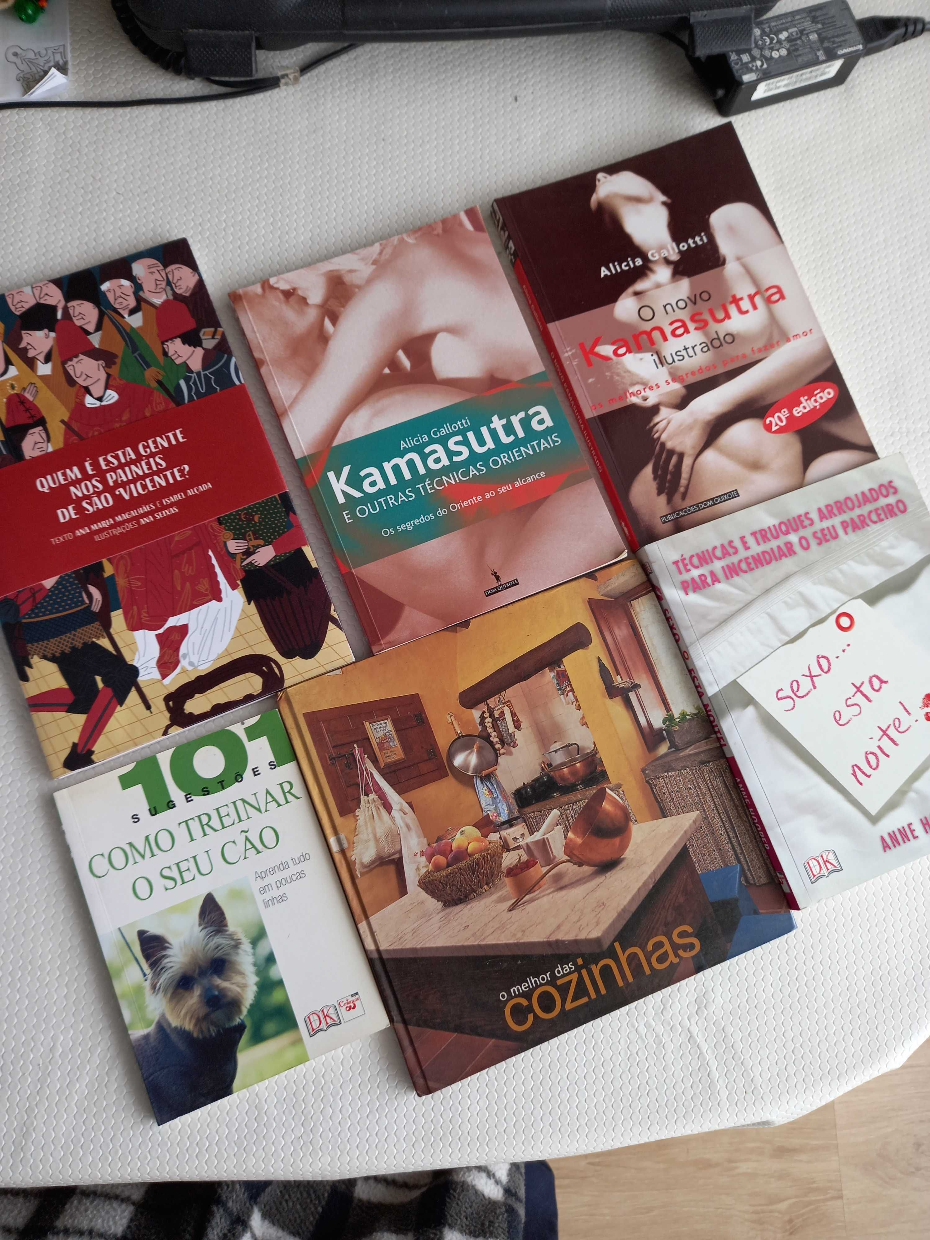 Livros e revistas variados.