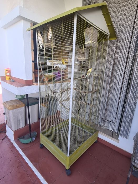 Viveiro p/ Aves cor Pistacho 79X67,5X167CM VOLTREGA
4.010 Avaliações