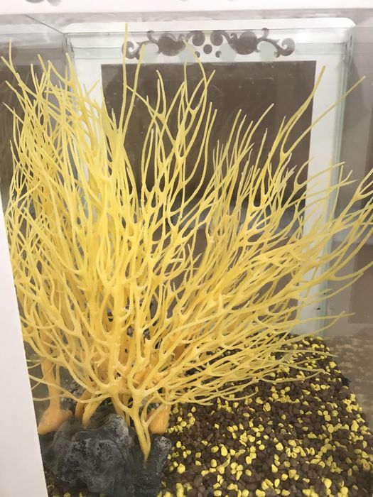 Терміново Продам Акваріум