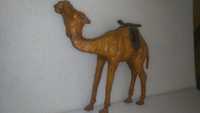 Antigo Camelo em pele
