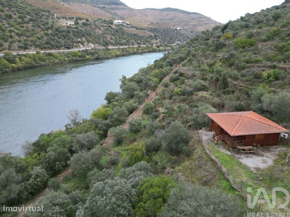 Quinta T7 em Ervedosa do Douro de 2354,00 m2