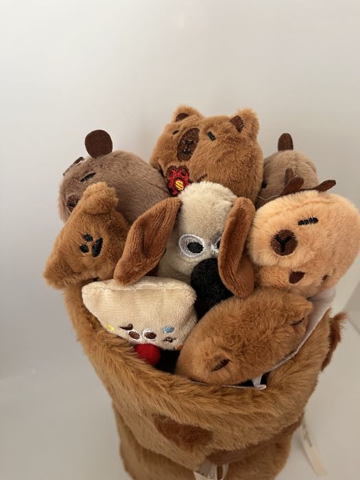 Подарунковий букет капібара