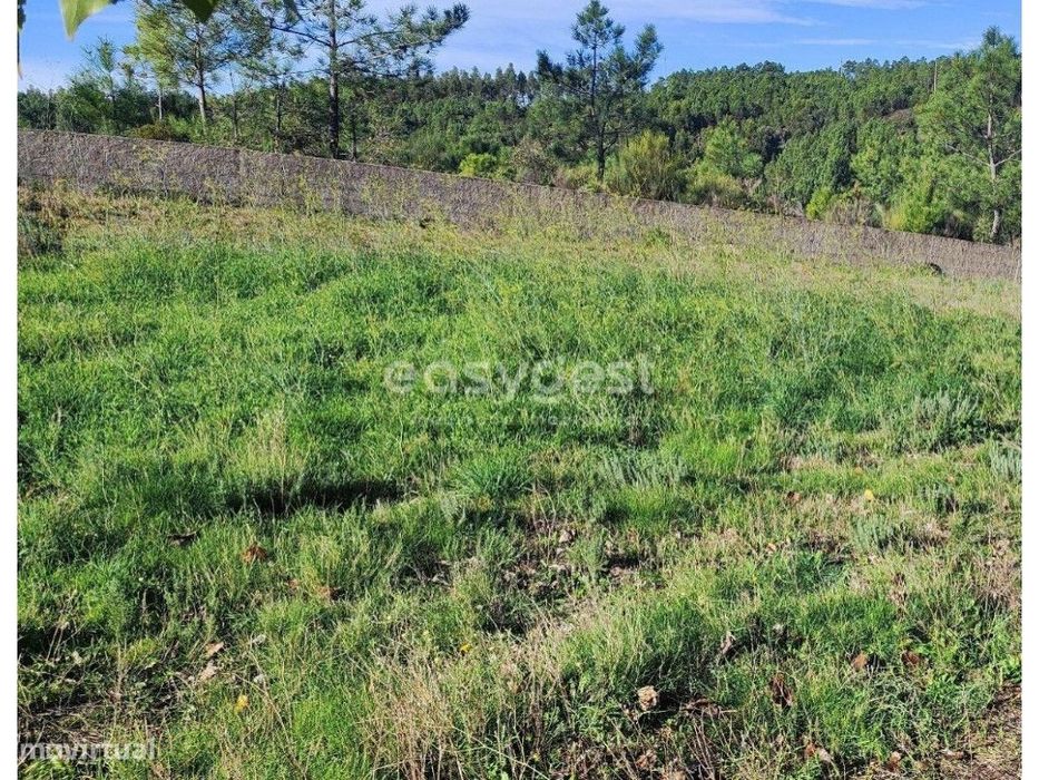 Terreno urbano situado na vila de são Vicente da Beira a escassos m...