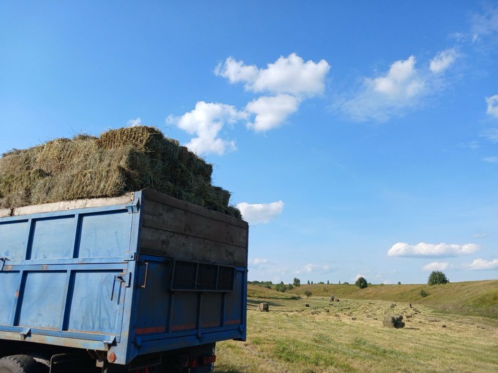 Сіно та солома.