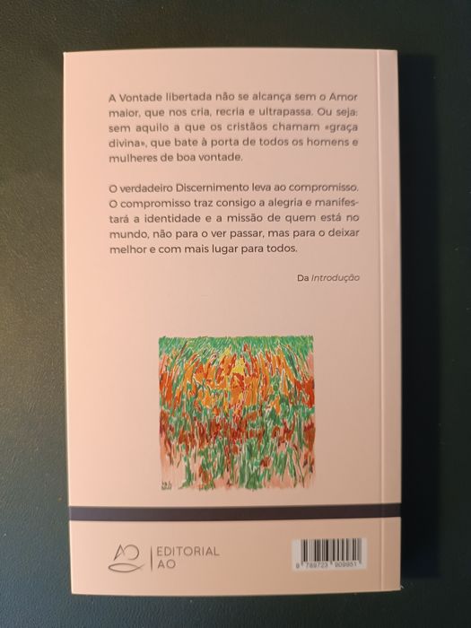 Fazer o Bem, bem feito de Vasco Pinto de Magalhães, sj
O discernimento