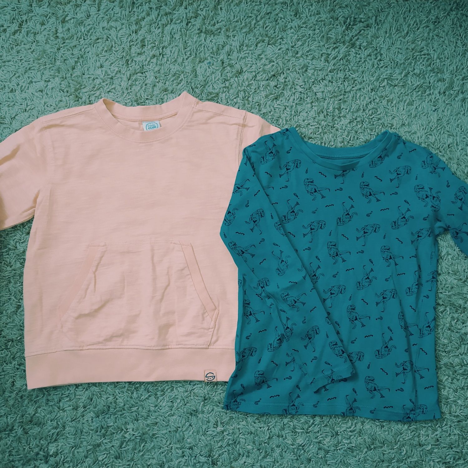 Bluza, bluzy, bluzka, bluzki, t-shirt