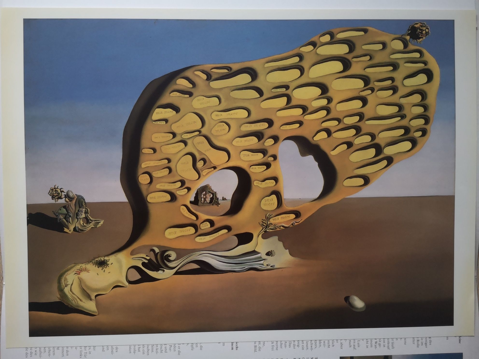Salvador Dali - Posterbook