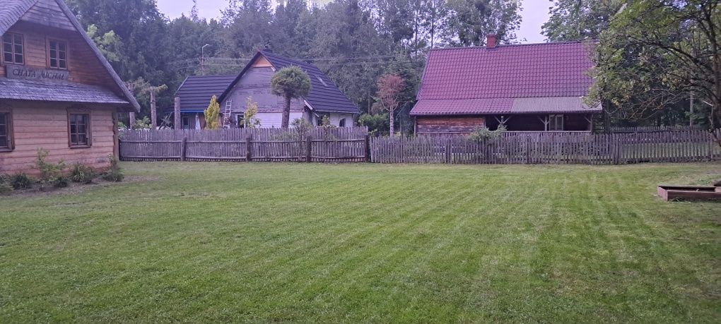 Koszenie trawników, karczowanie krzaków. Bielsk Podlaski +60km