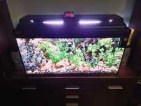 Akwarium 200l ! Polecam