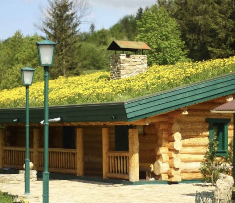 Еко будинок сімейний відпочинок в Карпатах Бутинар