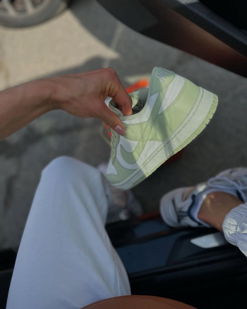 Чоловічі оригінальні кросівки Nike Dunk Low Next HF5384 300