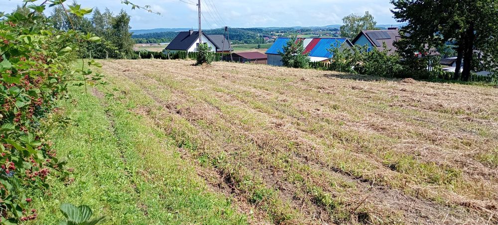 działka budowlana gmina Czchów
