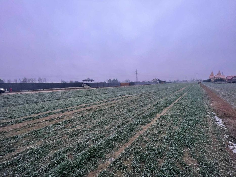 Działki budowlane Dylewo/ Od 12 do 25 arów/ Wjazd od ul. Lipowej