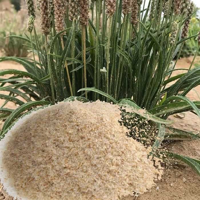АКЦІЯ Psillium Husk псиллиум хаск шелуха подорожника псилиум! псиліум