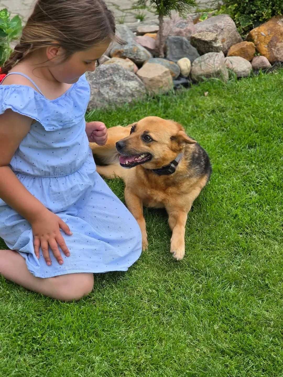 Tiana, mała wesoła sunia szuka domu