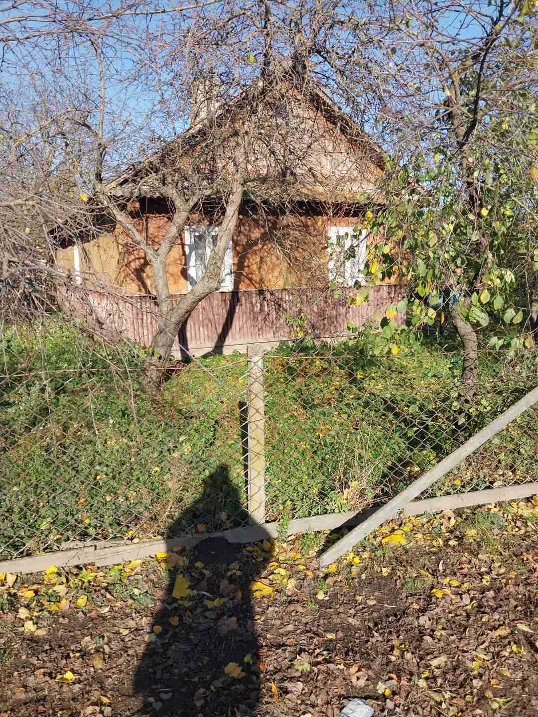 Будинок в селі з земельним участком